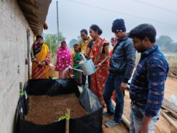 Vermi compost preparation